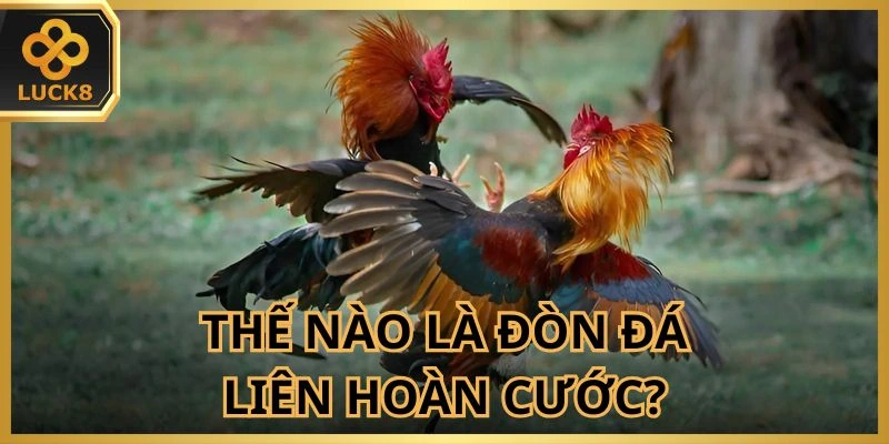 hieu-ro-ve-don-da-lien-hoan-cuoc-trong-choi-ke